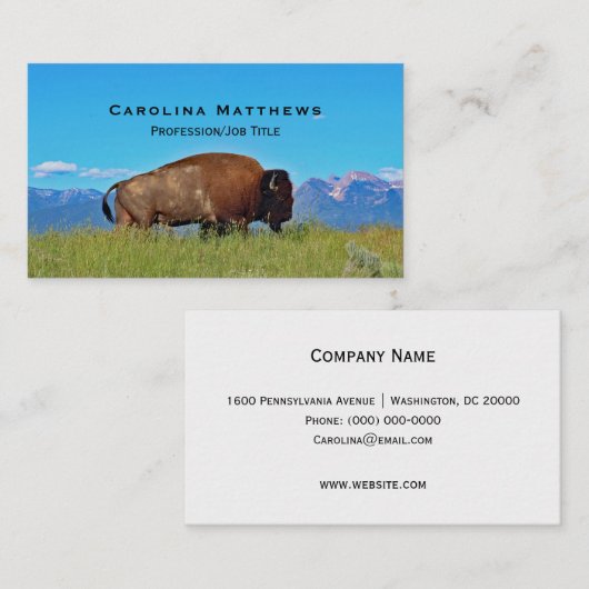 Buffalo Visitenkarte (Vorne/Hinten)