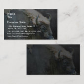 Buffalo Visitenkarte (Vorne/Hinten)