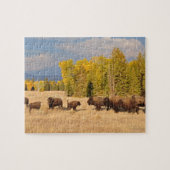 Buffalo Wyoming Puzzle (Horizontal)