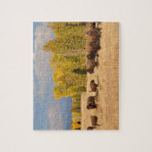 Buffalo Wyoming Puzzle (Vertikal)