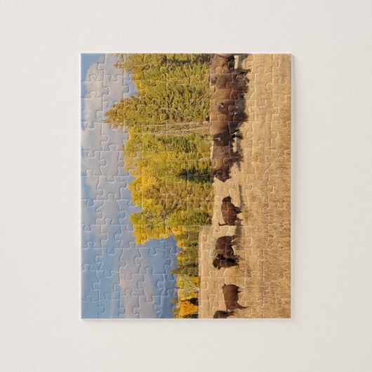 Buffalo Wyoming Puzzle (Vertikal)