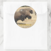Buffalo Yellowstone Sticker (Tasche)