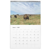 Buffaloed Kalender (Mär 2027)