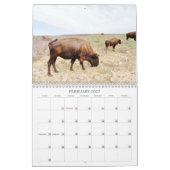 Buffaloed! Kalender (Feb 2027)