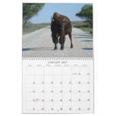 Buffaloed! Kalender (Jan 2027)