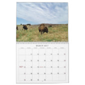 Buffaloed! Kalender (Mär 2027)