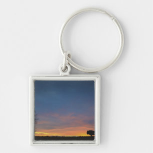 Büffel am Sonnenuntergang im Schlüsselanhänger