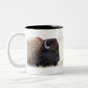 Büffel-Bison herauf nahes Zweifarbige Tasse
