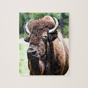Büffel (Bison) Puzzle