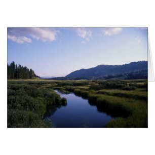 Büffel-Fluss, North Fork Wy.