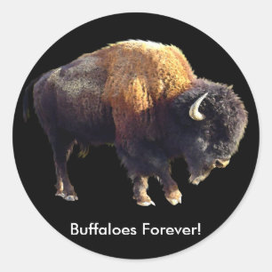 Büffel für immer! Bison Lover Art Stickers