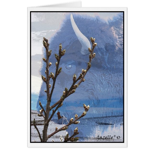 Büffel-Geist (Vorne)