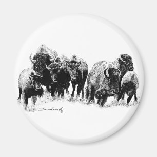 Büffel-Herde Magnet