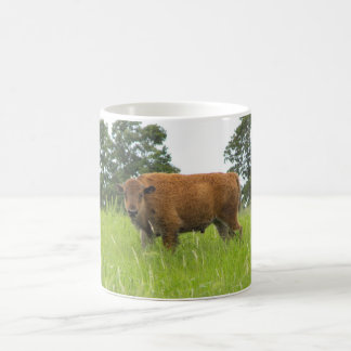 Büffel-Kalb Kaffeetasse