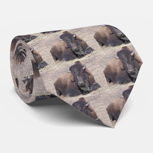 Büffel, Krawatte (Gerollt)