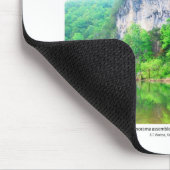 Büffel-nationaler Fluss I - Frühlings-Laub 2008 Mousepad (Ecke)