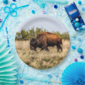 Büffel Pappteller (Party)