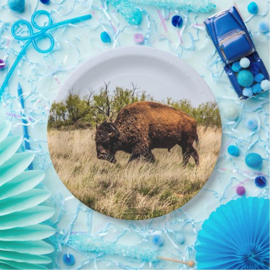 Büffel Pappteller (Party)