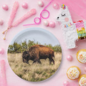 Büffel Pappteller (Party)