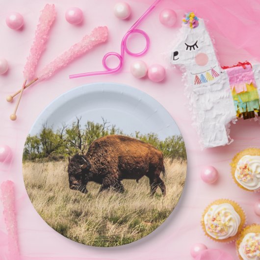 Büffel Pappteller (Party)