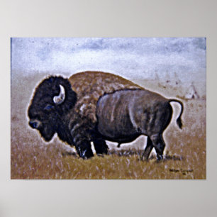 Büffel Poster