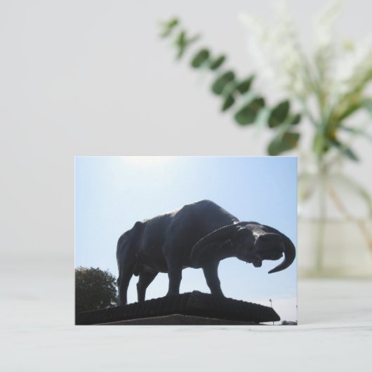 Büffel Postkarte (Stehend Vorderseite)