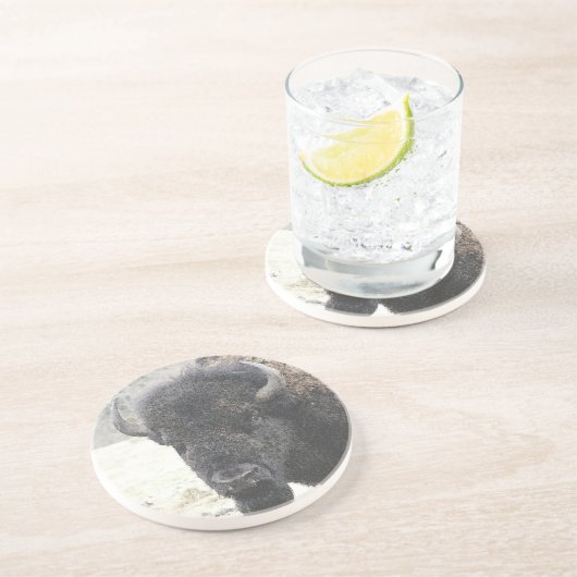 Büffel Sandstein Untersetzer (Seite)