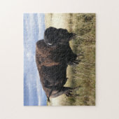 Büffel Stier Puzzle (Vertikal)