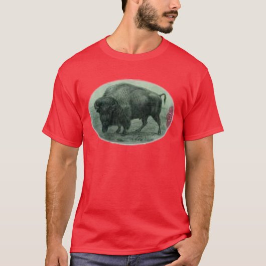 Büffel T-Shirt (Vorderseite)