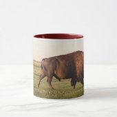 Büffel-Tasse Tasse (Zentrum)