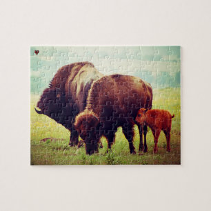 Büffel und Kalb Oklahoma Puzzle