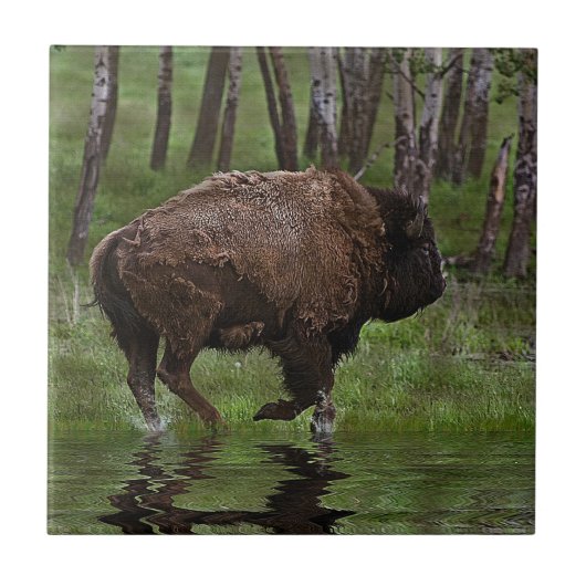 Büffel und Wald, Bison-Liebhaber Design Fliese (Vorderseite)