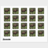 Büffel und Wald, Bison-Liebhaber Design Quadratischer Aufkleber (Blatt)