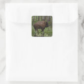 Büffel und Wald, Bison-Liebhaber Design Quadratischer Aufkleber (Tasche)