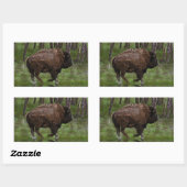 Büffel und Wald, Bison-Liebhaber Design Rechteckiger Aufkleber (Blatt)
