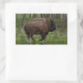 Büffel und Wald, Bison-Liebhaber Design Rechteckiger Aufkleber (Tasche)