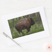 Büffel und Wald, Bison-Liebhaber Design Rechteckiger Aufkleber (Umschlag)