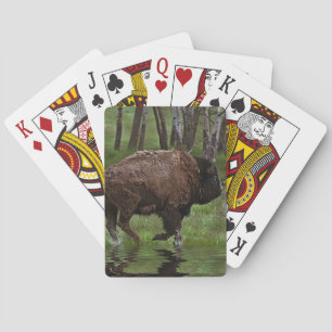 Büffel und Wald, Bison-Liebhaber Design Spielkarten