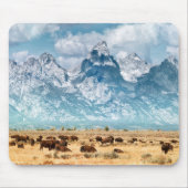 Büffel unter den großartigen Teton Bergen Mousepad (Vorne)