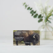 Büffel-Visitenkarte Visitenkarte (Stehend Vorderseite)