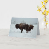 Büffelgrußkarte Karte (Gelbe Blume)