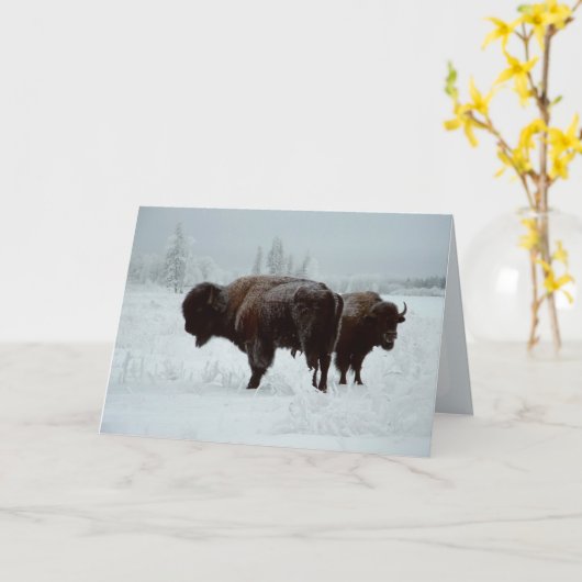 Büffelgrußkarte Karte (Gelbe Blume)