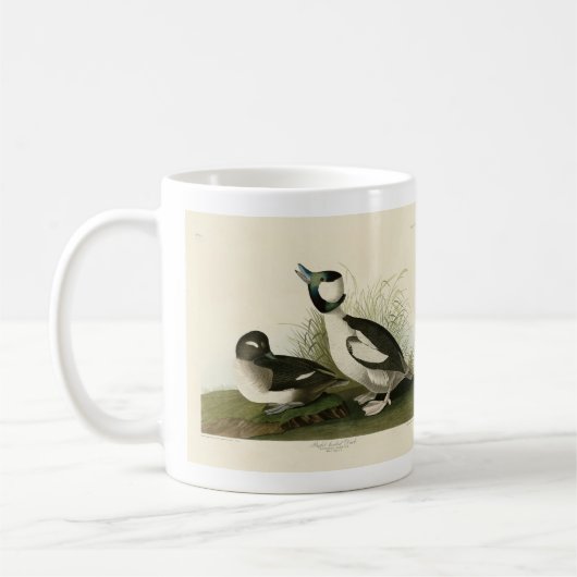 Buffelköpfe von Audubons Vögeln in Amerika Kaffeetasse (Links)
