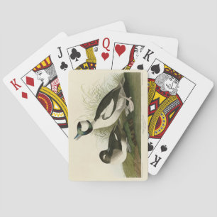 Buffelköpfe von Audubons Vögeln in Amerika Spielkarten