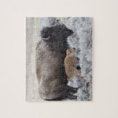 Büffelkuh mit Kalb, Yellowstone Puzzle (Vertikal)