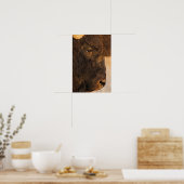 Büffelprofil Poster (Küche)
