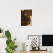 Büffelprofil Poster (Heimbüro)
