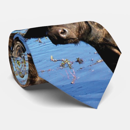 Büffelsafari-Krawatten Krawatte (Gerollt)