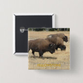 Büffelyellowstone-Knopf Button (Vorne & Hinten)