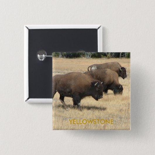 Büffelyellowstone-Knopf Button (Vorne & Hinten)